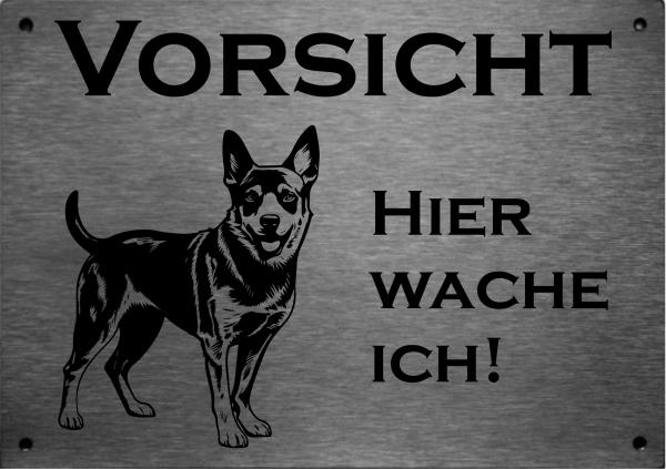 Edelstahl Hundeschild Australian Cattle Dog VORSICHT Hier wache ich!